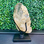 Semi Polished Elestial Citrine with Stand Display Piece shown for scale and natural variation