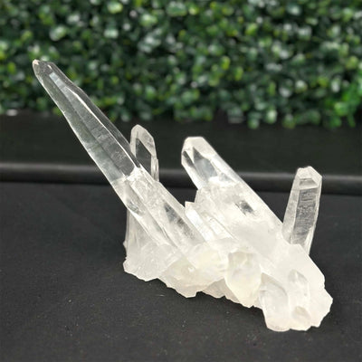 Diamantina Quartz Cluster - 100% Natural Diamantina Laser Cluster from Amezoni Crystals, front view