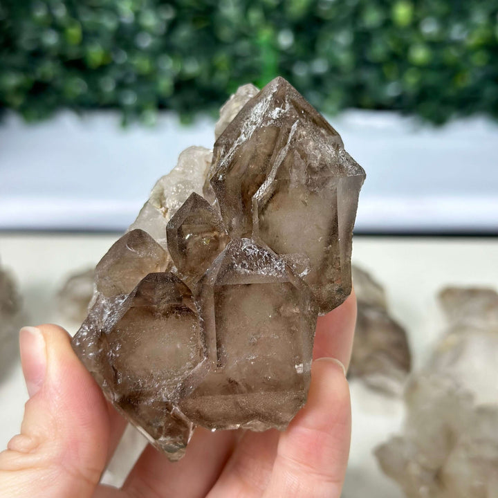 RAW ELESTIAL SMOKY QUARTZ LOT