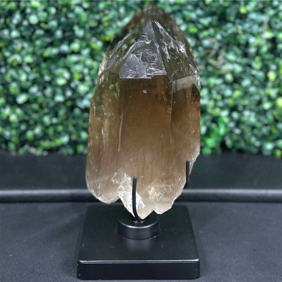 DT Smoky Quartz Celestial Semi Polished