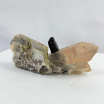 Collection - Tourmaline Attached to Quartz With Golden Mica