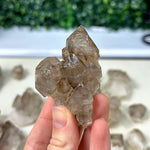 Raw Elestial Smoky Quartz Lot Raw Crystal shown for scale and natural variation