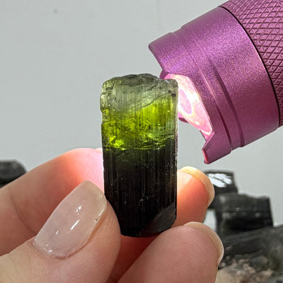 Raw Green Tourmaline Lot