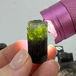 Raw Green Tourmaline Lot