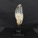 Lemurian Manifestation With Stand