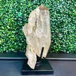 Close-up of Semi Polished Elestial Citrine with Stand Display Piece with visible color and formation