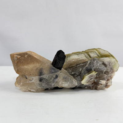 Collection - Tourmaline Attached to Quartz With Golden Mica