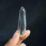 High Quality Lemurian Free Form Lot