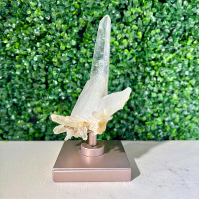 Diamantina Quartz Cluster - 100% Natural Laser Cluster from Amezoni Crystals, front view