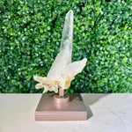 Diamantina Quartz Cluster - 100% Natural Laser Cluster from Amezoni Crystals, front view