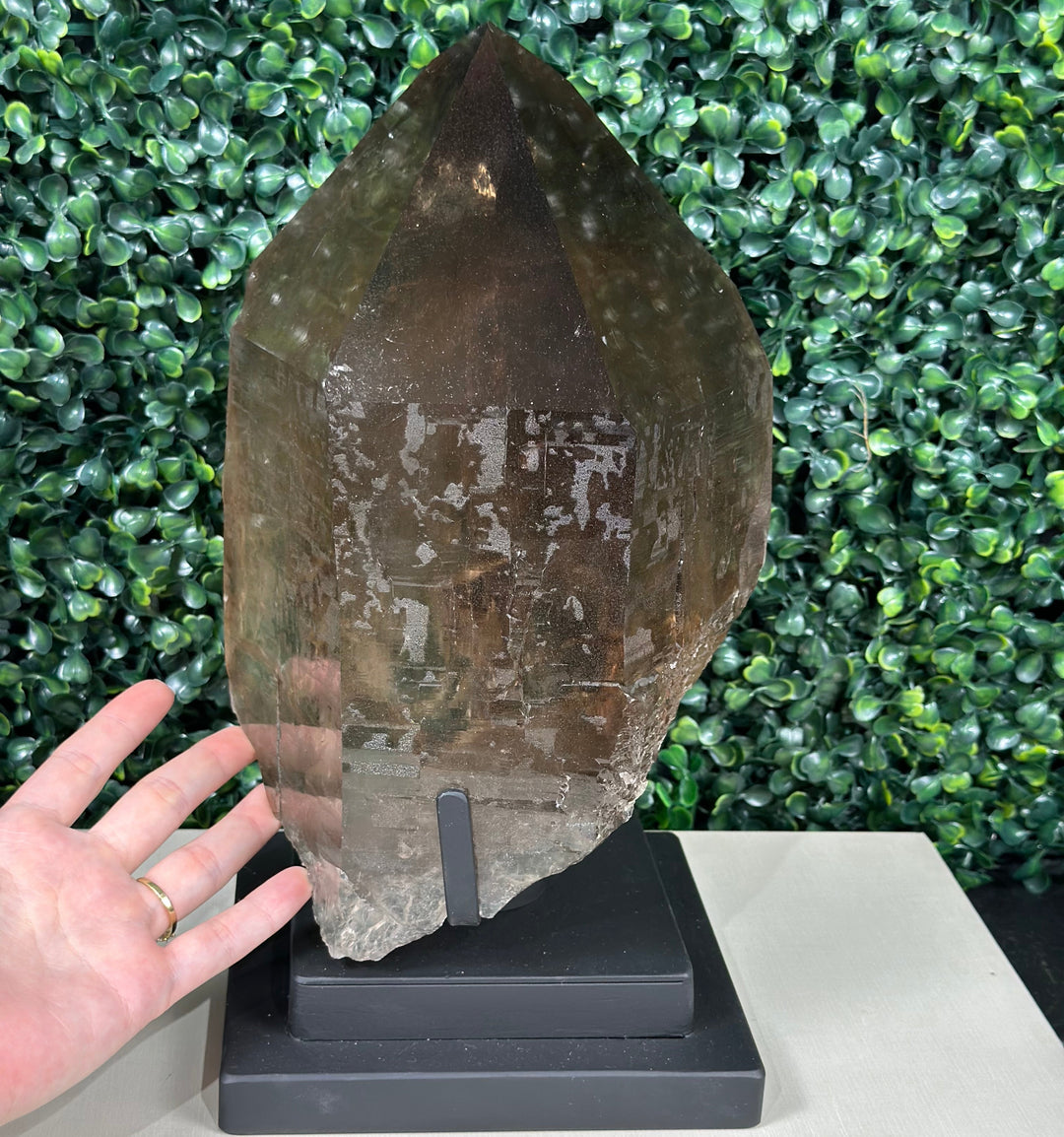 100% Natural Smoky Point W/ Stand