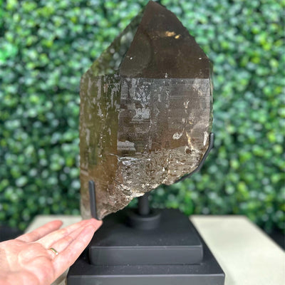 100% Natural Smoky Point w/ Stand