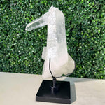 Diamantina Quartz Cluster - 100% Natural Laser Cluster with Stand shown for scale and natural variation