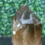 Close-up of DT Smoky Quartz Celestial Semi Polished Display Piece with visible color and formation