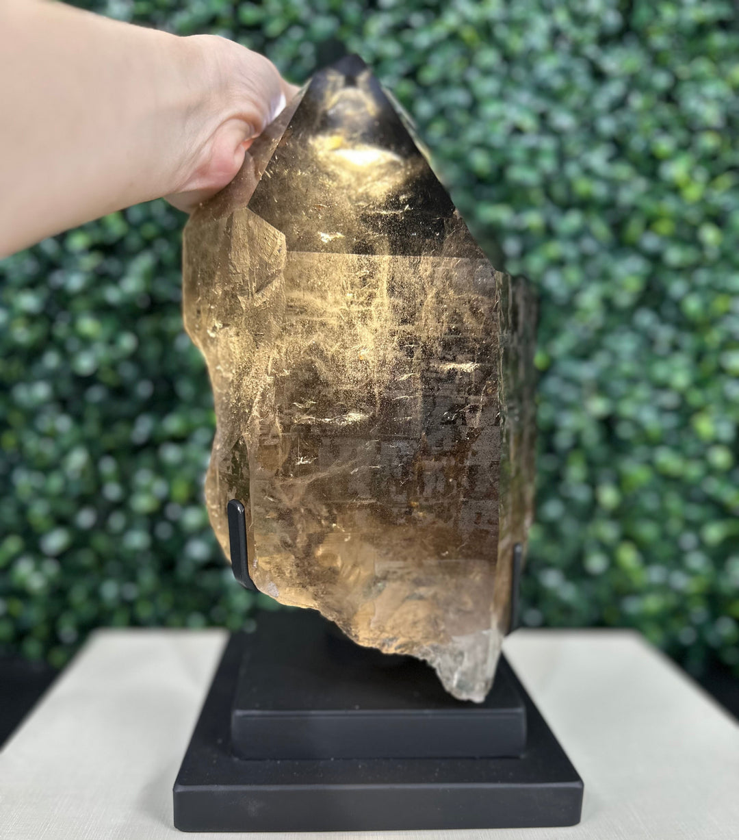 100% Natural Smoky Point W/ Stand
