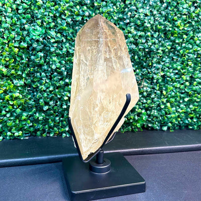 Semi Polished Elestial Citrine with Stand Display Piece from Amezoni Crystals, front view