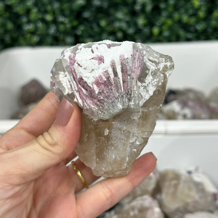 Tourmaline in Matrix wholesale