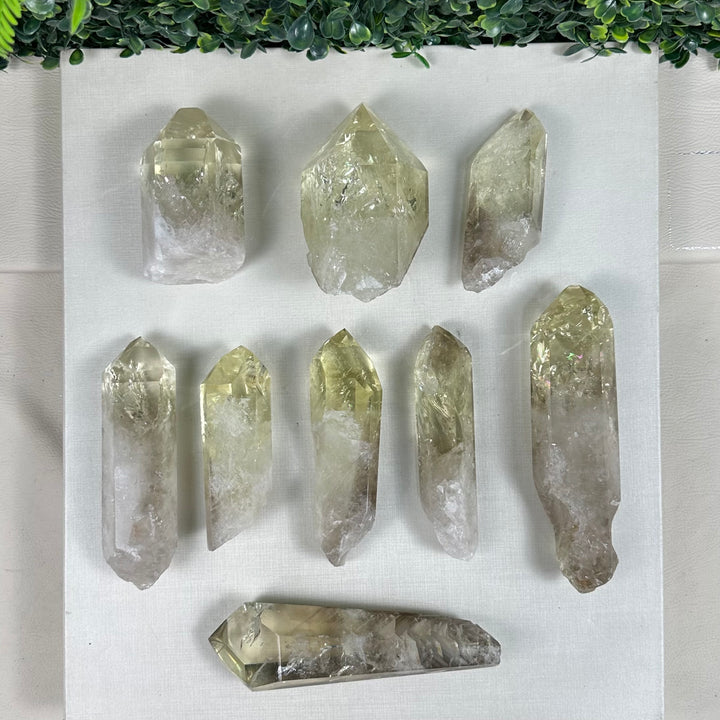 GREEN GOLD CITRINE LOT - HEAT TREATED