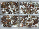 Side view of High Quality Garden Quartz Lens Lot showing natural crystal details