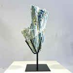 Raw Kyanite With Stand