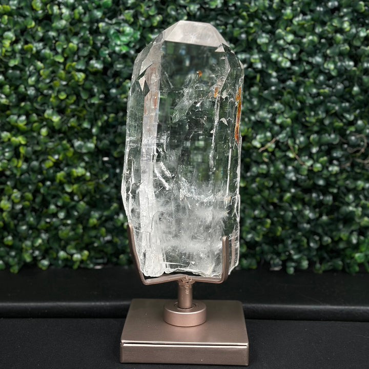 AAA+ Diamantina w/ Stand
