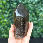 Diamantina Quartz Point - Smoky Diamantina Points product image with natural crystal details