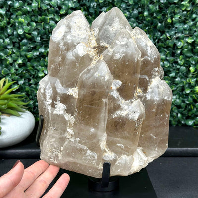 100% Natural Elestial Citrine with Stand Display Piece from Amezoni Crystals, front view
