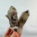 Garden Quartz Cluster - Clusters with Garden and Chlorite Phantom shown for scale and natural variation