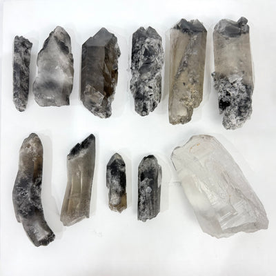 Raw Lemurian Black Phantom Points Lot
