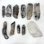 Raw Lemurian Black Phantom Points Lot