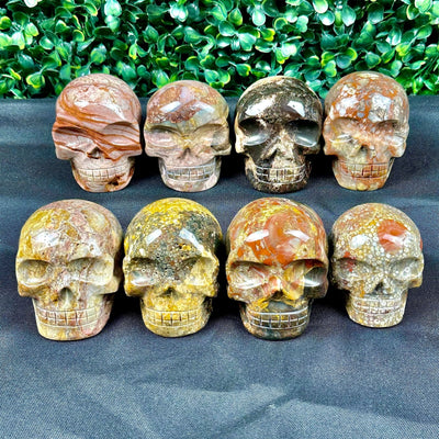 Jasper Carving Skull - 8 PCS from Amezoni Crystals, front view