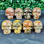 Jasper Carving Skull - 8 PCS from Amezoni Crystals, front view