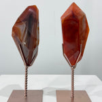 Carnelian Free Form With Stand Set