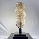 High Quality 100% Natural Elestial With Stand