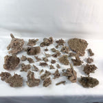 Garden Quartz Cluster - Clusters with Garden and Chlorite Phantom product image with natural crystal details