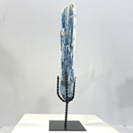 Raw Kyanite With Stand