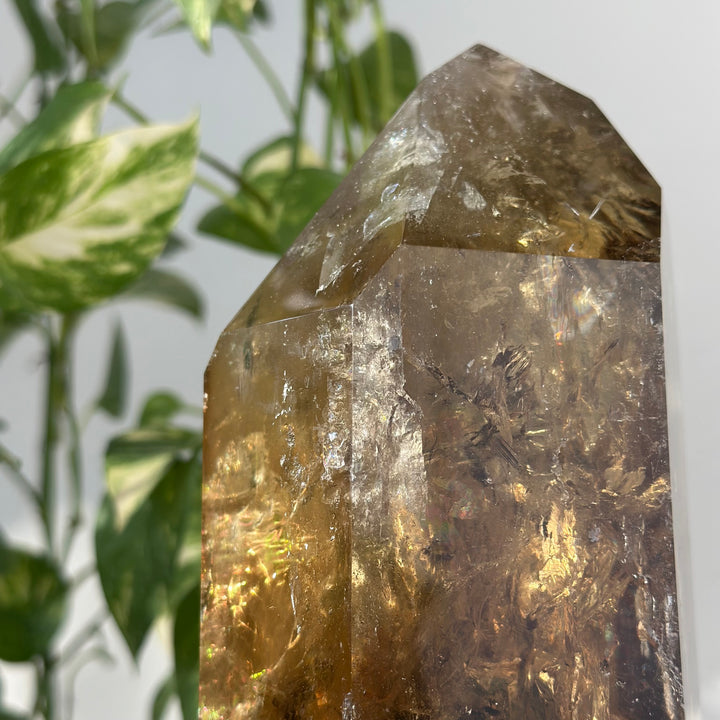 Natural Citrine Point with Stand - Wholesale