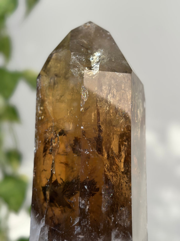 Natural Citrine Point with Stand - Wholesale