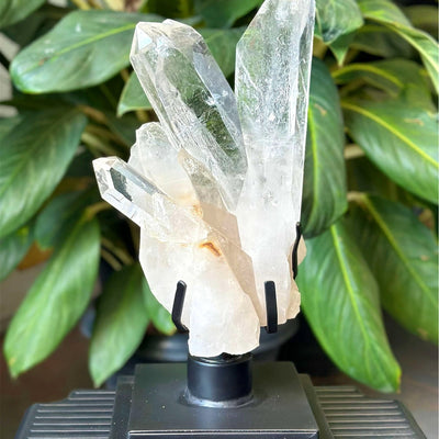 Diamantina Cluster w/ Stand