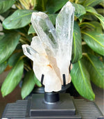 Diamantina Cluster w/ Stand