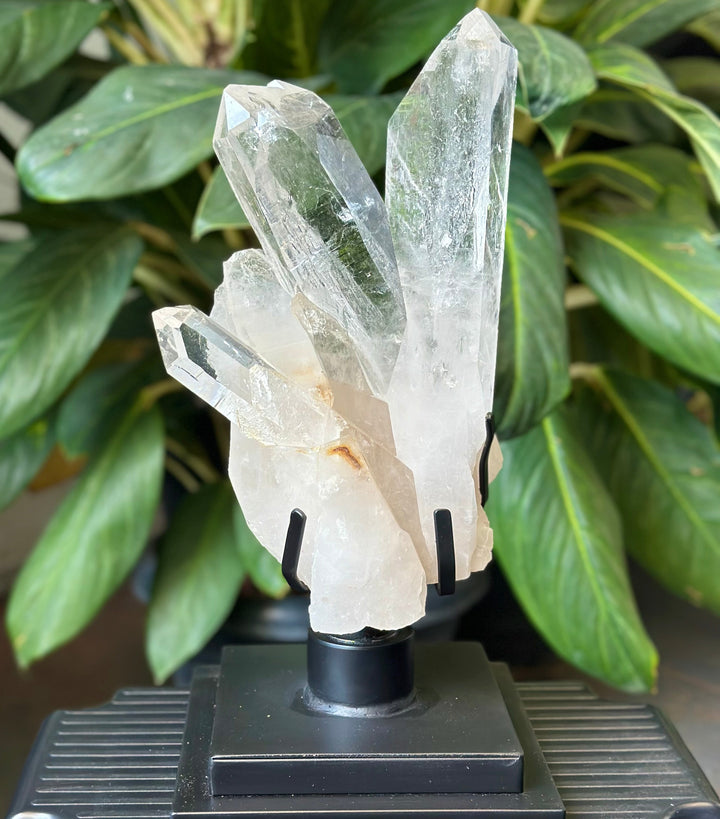 Diamantina Cluster w/ Stand