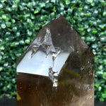 DT Smoky Quartz Celestial Semi Polished Display Piece shown for scale and natural variation
