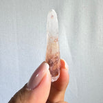 100% Natural Laser From Diamantina With Garden Cover