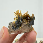 Collection Pieces Golden Rutile Novo Horizonte Lot