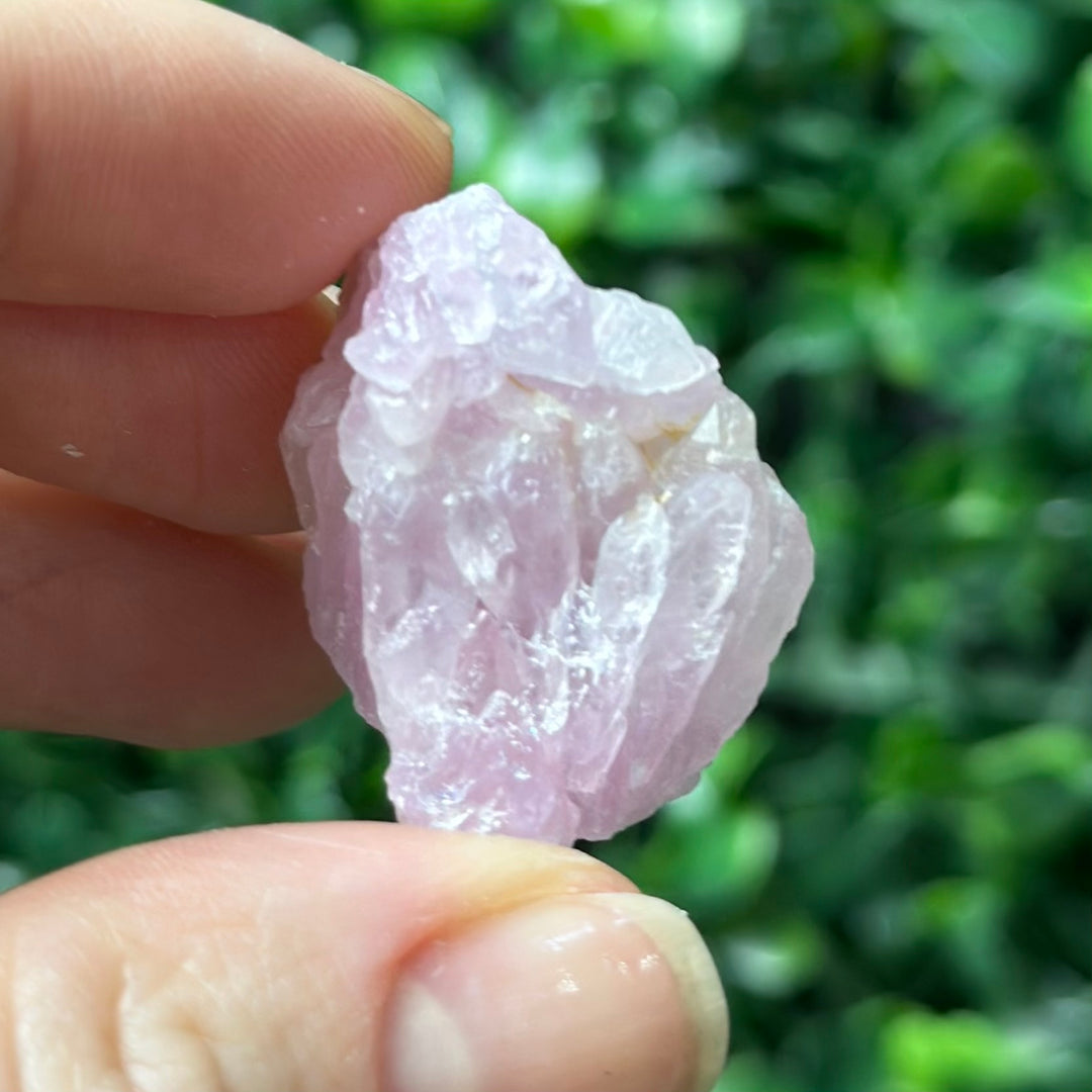 Raw Pink Canga Collections