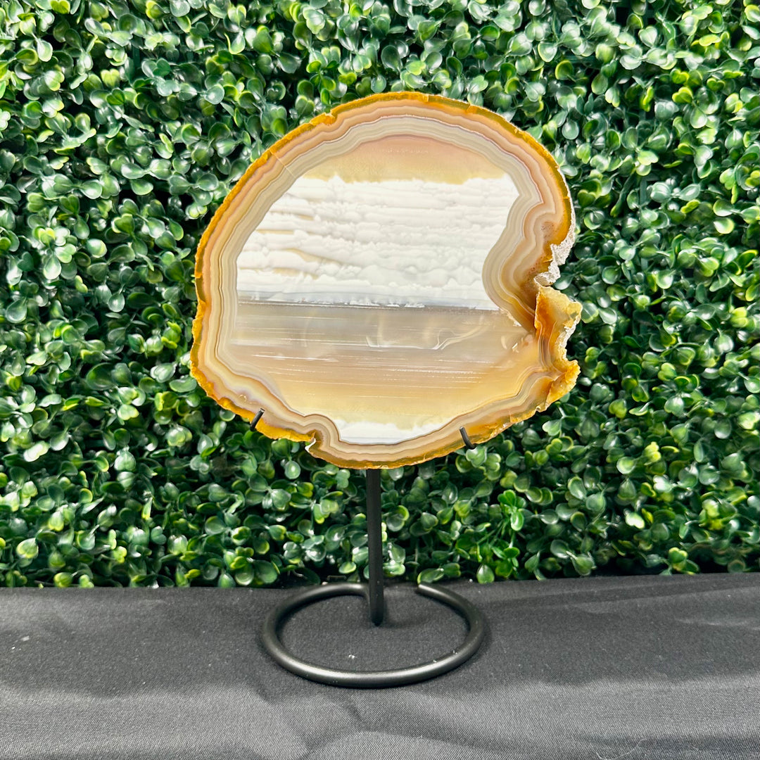 Agate Slabs In Stand