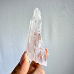 100% Natural Laser From Diamantina With Garden Cover