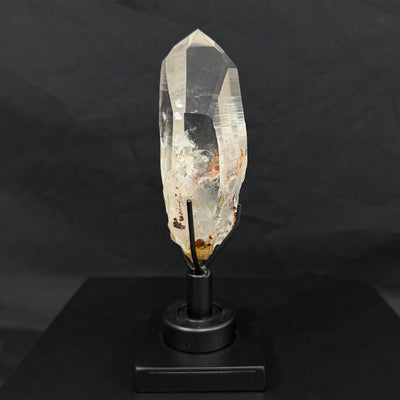 Lemurian Manifestation With Stand