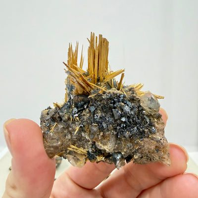 Collection Pieces Golden Rutile Novo Horizonte Lot