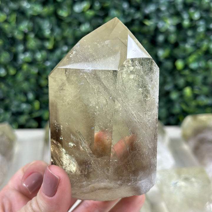 Green Gold Citrine Lot - Heat Treated